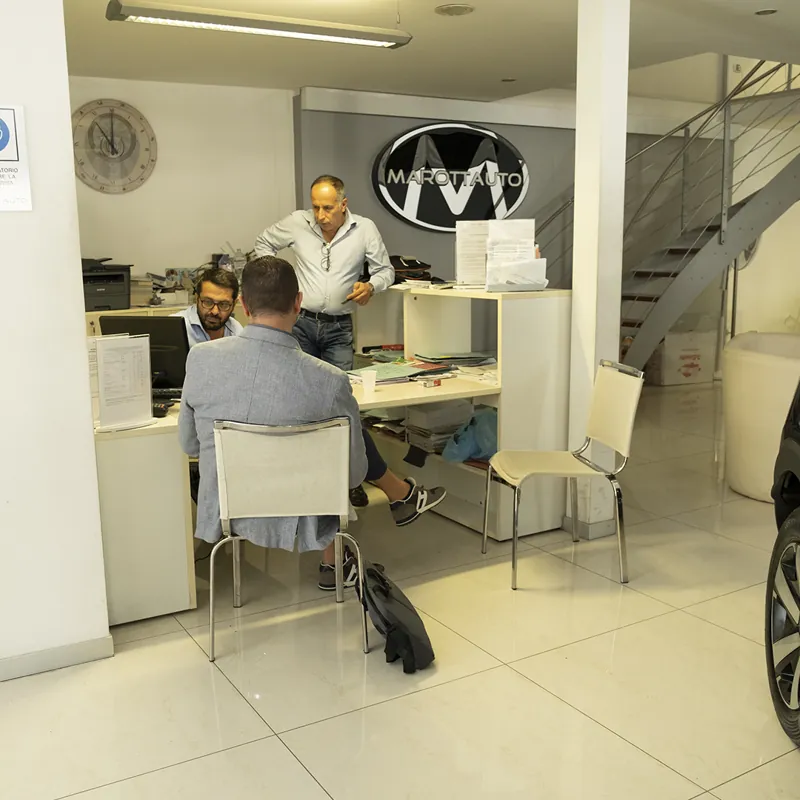 consulenza nola