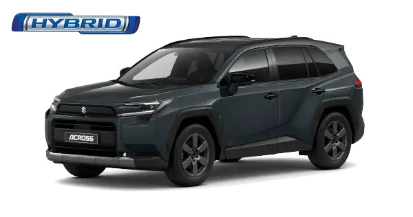 suzuki across plug in